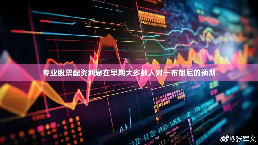 专业股票配资利息在早期大多数人对于布朗尼的预期