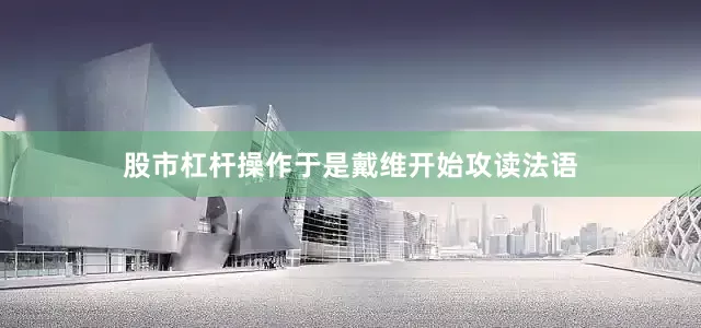 股市杠杆操作于是戴维开始攻读法语