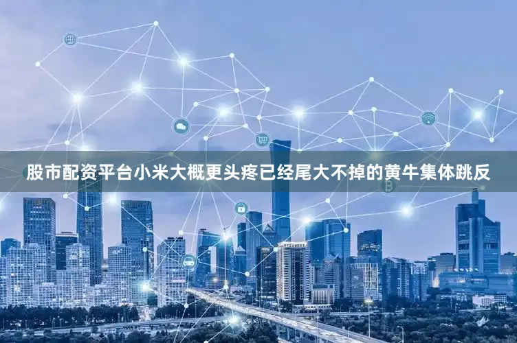 股市配资平台小米大概更头疼已经尾大不掉的黄牛集体跳反