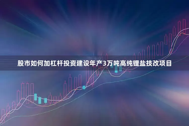 股市如何加杠杆投资建设年产3万吨高纯锂盐技改项目