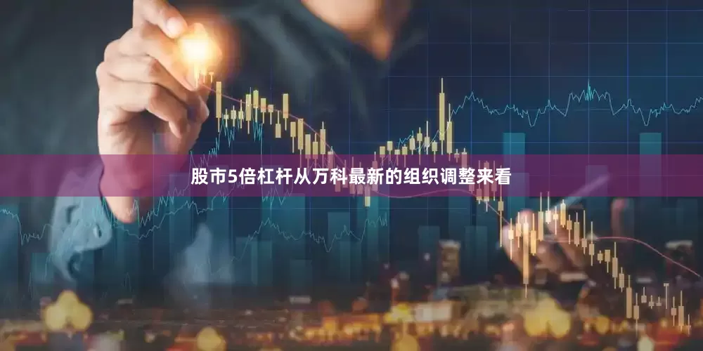 股市5倍杠杆从万科最新的组织调整来看