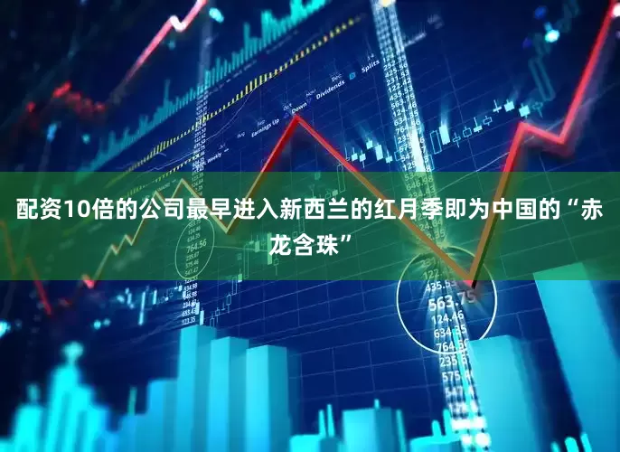配资10倍的公司最早进入新西兰的红月季即为中国的“赤龙含珠”